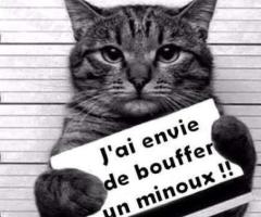 Recherche fellation.