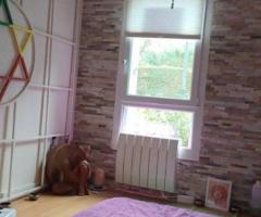 massage professionnel: relaxant, energétique, tonique, remodelant, tantrique - 2