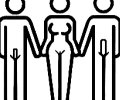 Bel homme pour couple mature