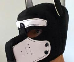 Cagoule masque chien