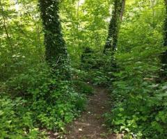 POUR RENCONTRE PLAN NATURE ET AuTRES