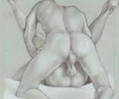 Anus vierge