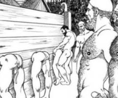 Passif mental de femelle 💦 pour actif musulman (Arabe ou autre)