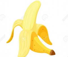Suce Montpellier