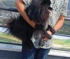 Recherche couple
