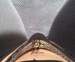 Femboy 18 Ans Veut de la Bite