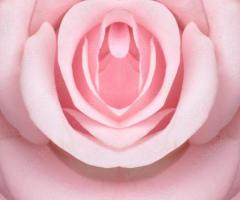 Pour une femme clitoridienne aimant etre longuement caressée, masturbée, tétée, lechéee
