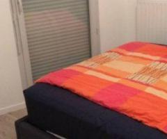 jh propose une colocation naturiste - 2