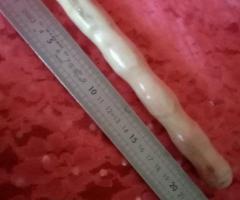 Sextoy artisanale en bois naturel - E1 / E2 - 2