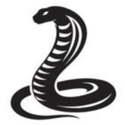Snake_73