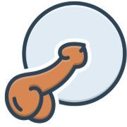 Amir